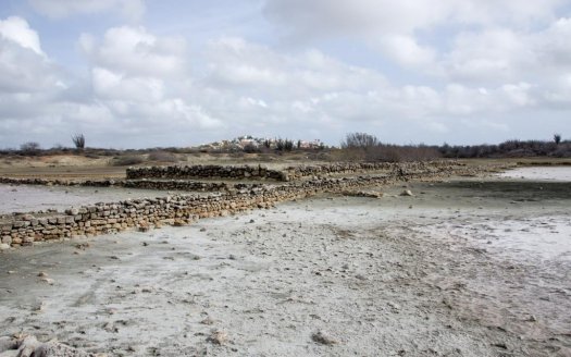 Landhuis Jan Thiel, Plantage, Zoutpannen, Hofi